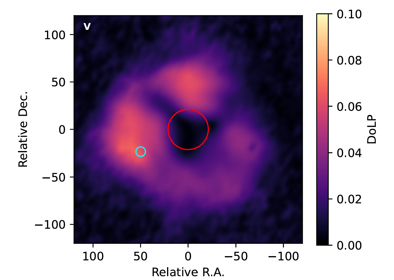 Degree of linear polarization, DoLP, observed with VLT/SPHERE-ZIMPOL around Betelgeuse on December 3, 2024. The red circle shows the position and infrared angular size of the primary, and the cyan circle corresponds to the candidate companion detection.