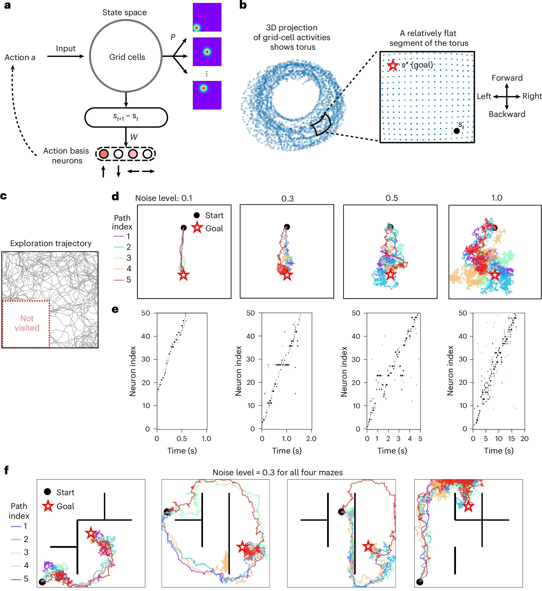 Sampling from a 2D cognitive map supports goal-directed imagination of spatial trajectories.