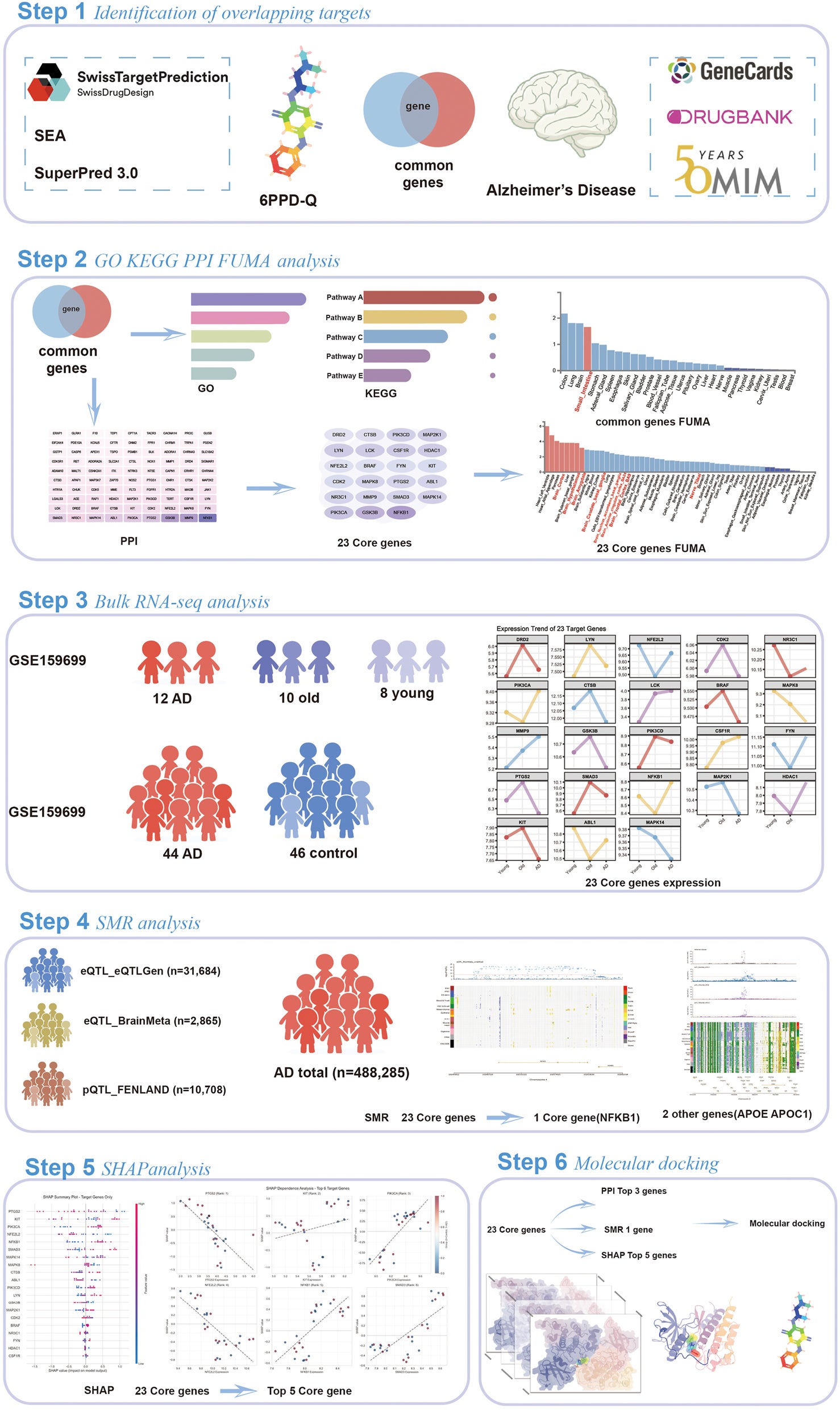 Schematic workflow of the integrated bioinformatics analysis investigating the molecular relationship between 6PPD-Q exposure and Alzheimer’s disease.