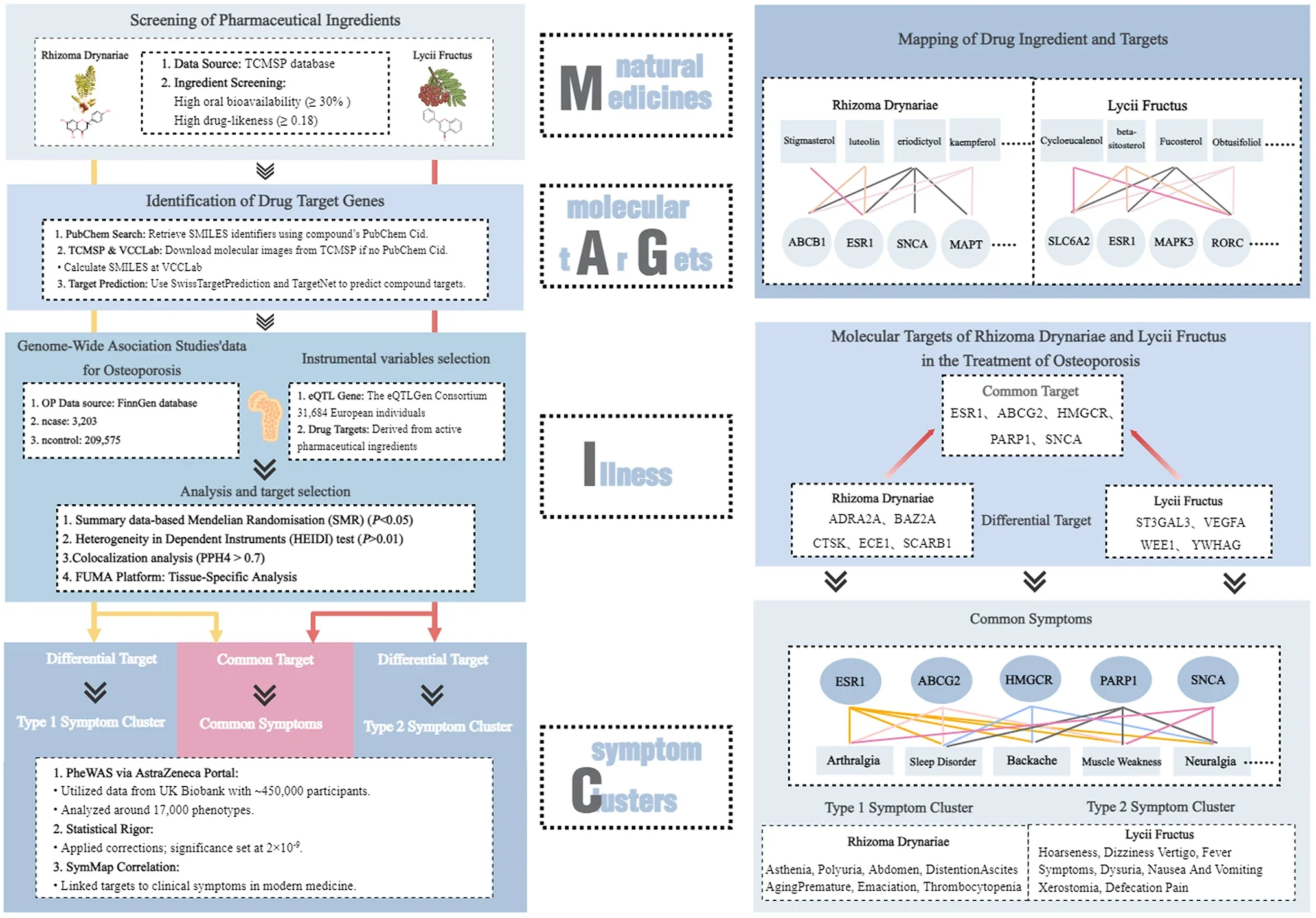 Precision treatment pathway from natural medicines to molecular targets, illness, and symptom clusters.
