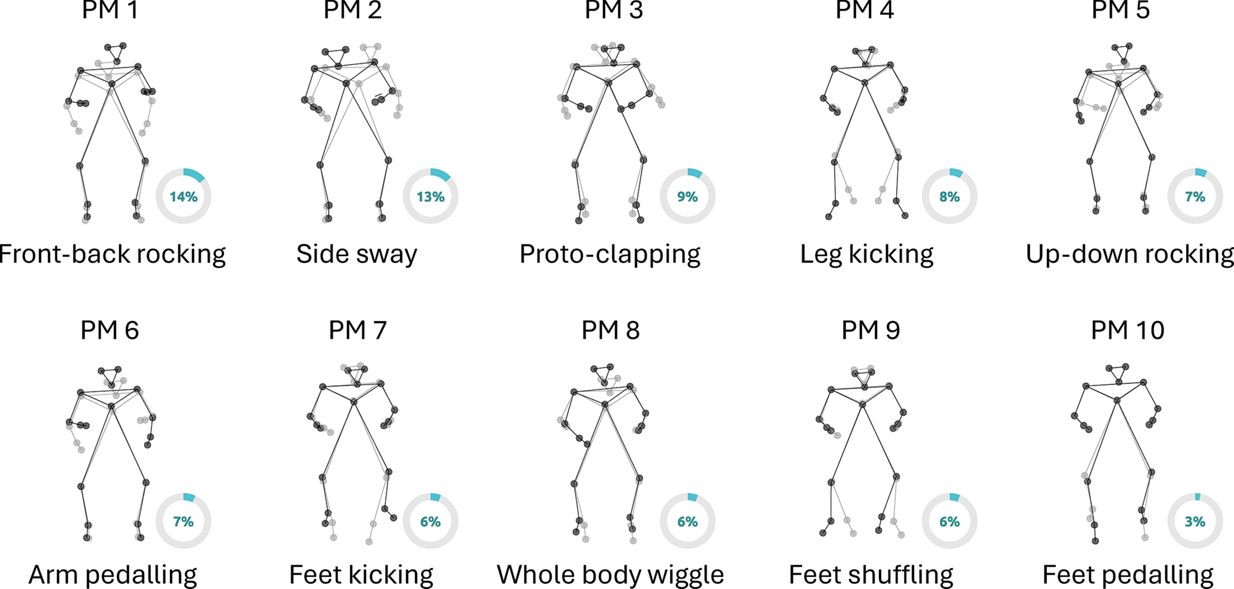 Infants’ principal movements (PMs) are illustrated by showing the two most different body postures (min and max of the PM score, in gray and black, respectively) from the frontal perspective. 