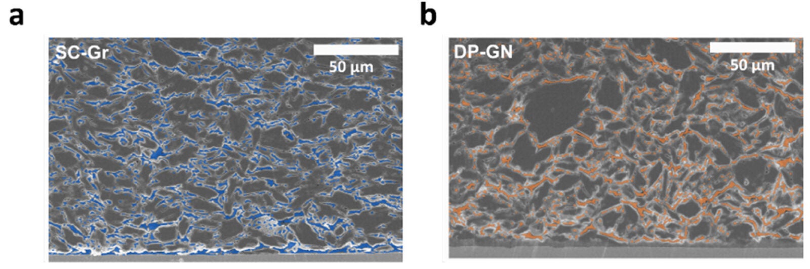 Pore structure analysis of SC-Gr and DP-GN in cross-sectional view. CP-SEM images of (a) SC-Gr and (b) DP-GN electrodes.