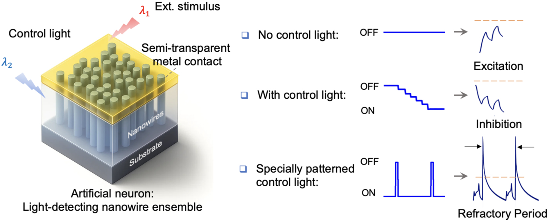 A graphical abstract of the study. (CREDIT: Nanoscale)