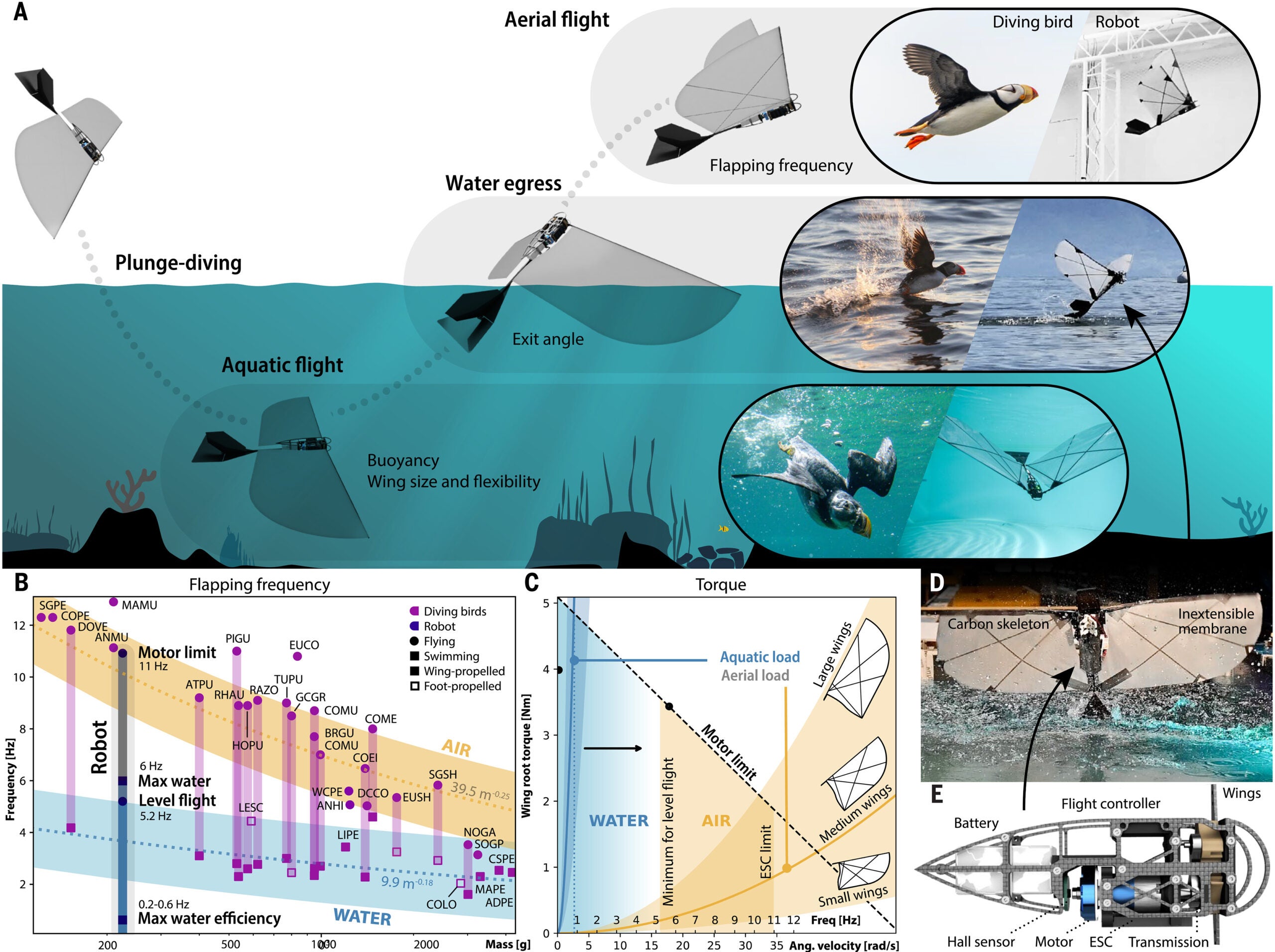 Aerial-aquatic locomotion and adaptation in birds and robots.
