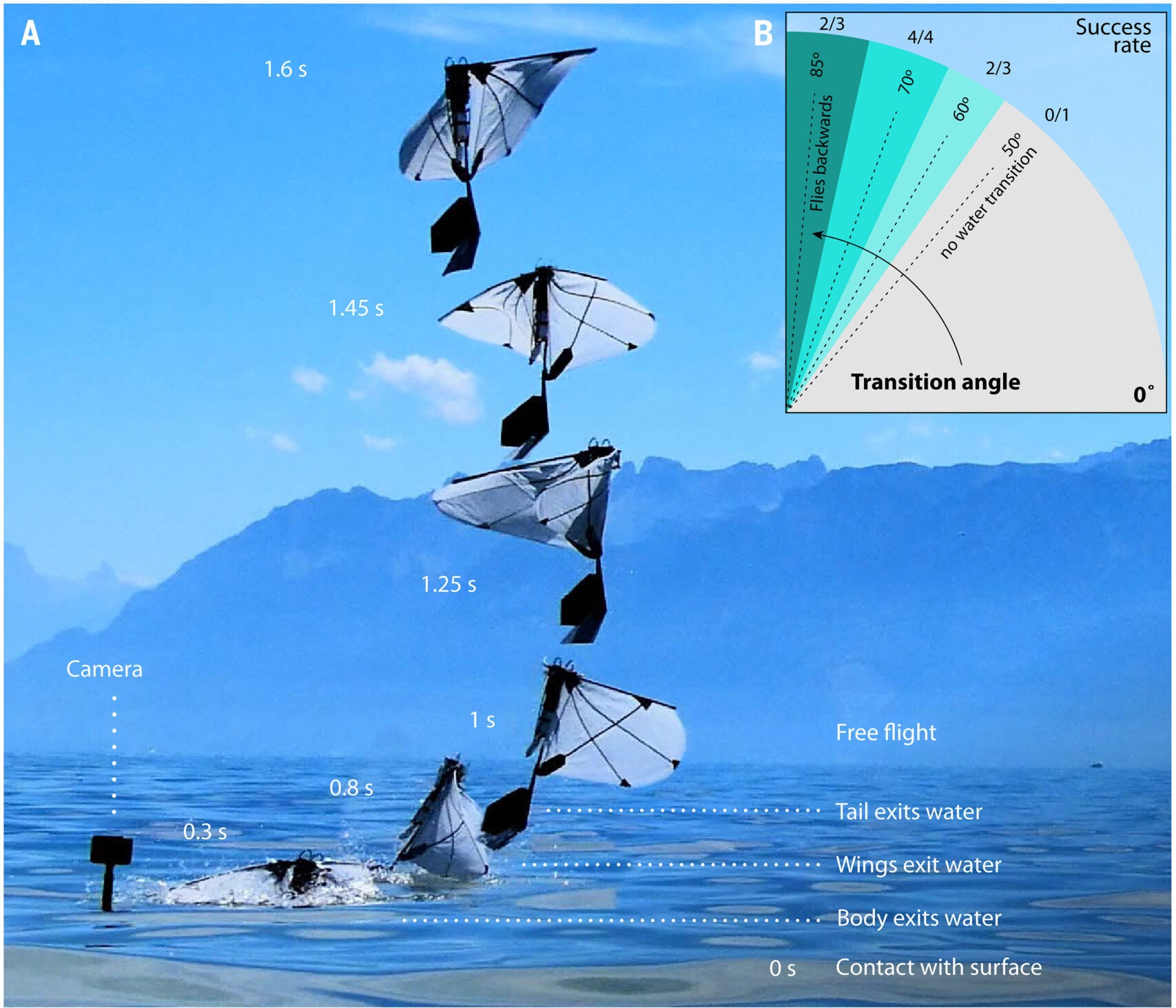 Composite view of the first water exit of an untethered flapping-wing robot. Free flight was achieved in 1 s.