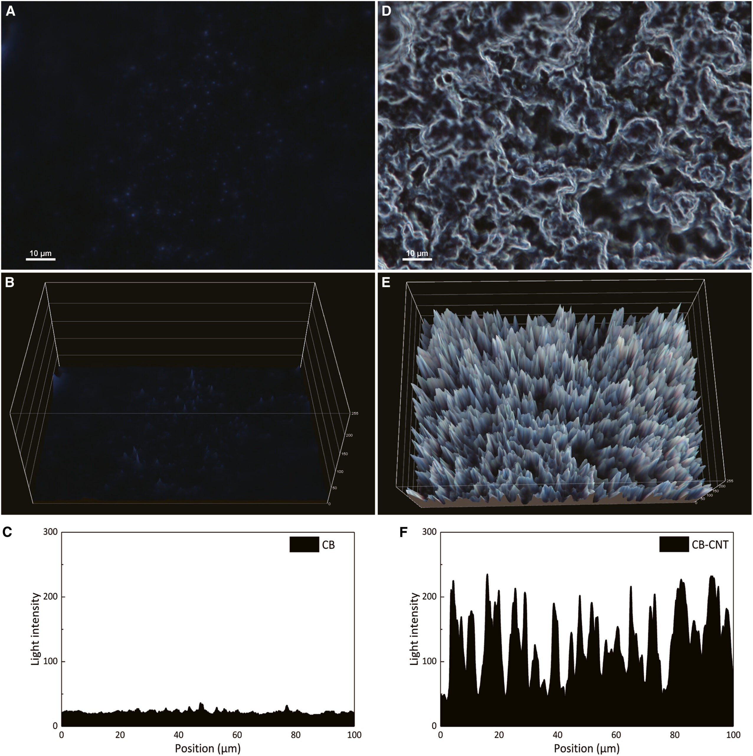 The optical microscope characterization.