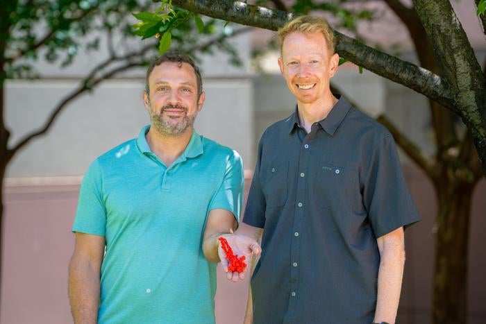 Researchers mapped the folded structure that stops kinesin-1 from walking or carrying cargo until cells activate it.