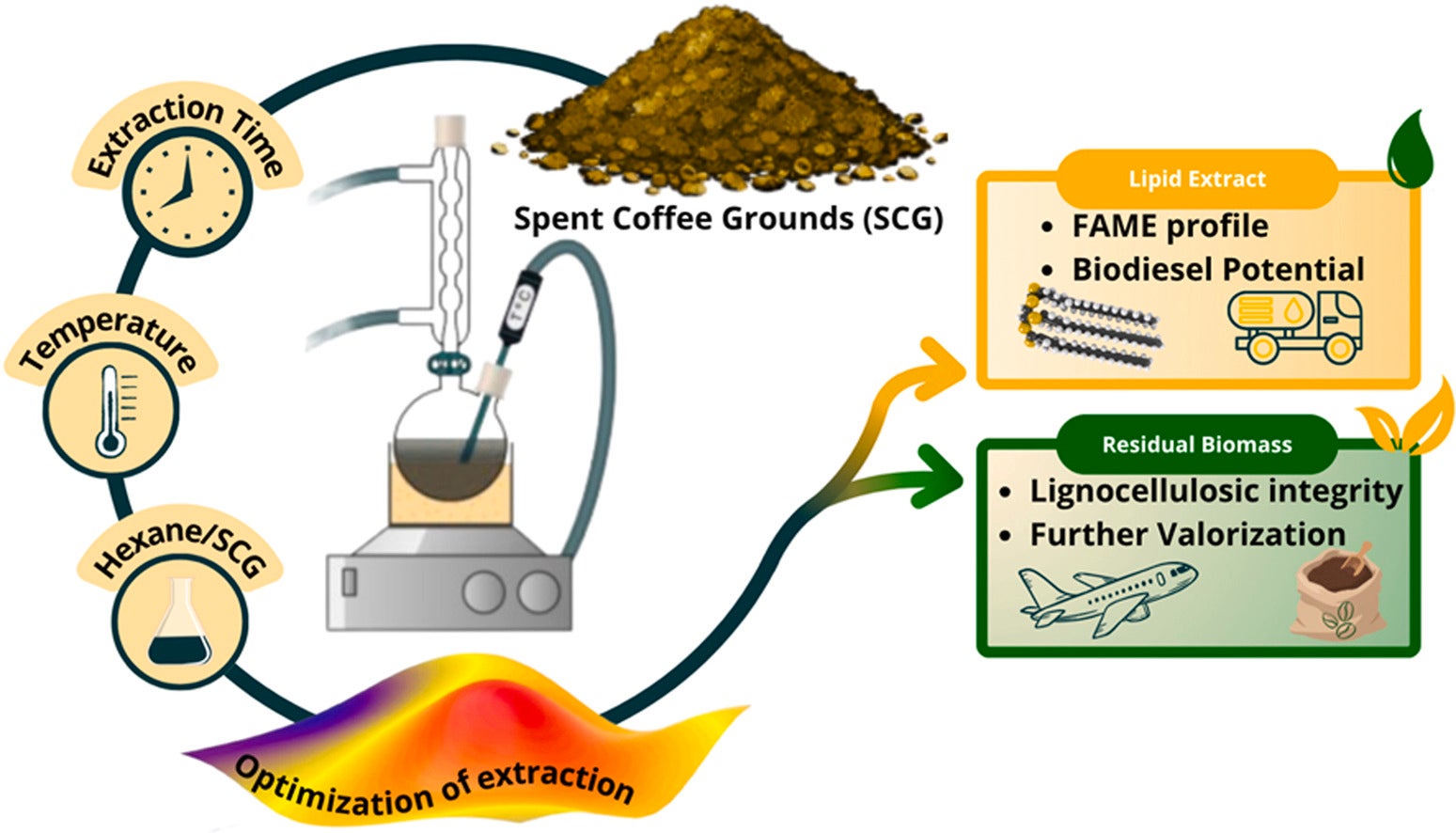 Graphical abstract of the biodiesel extraction process. 