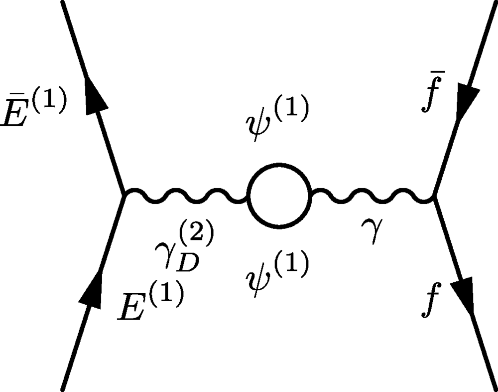 Dark matter interaction with SM.