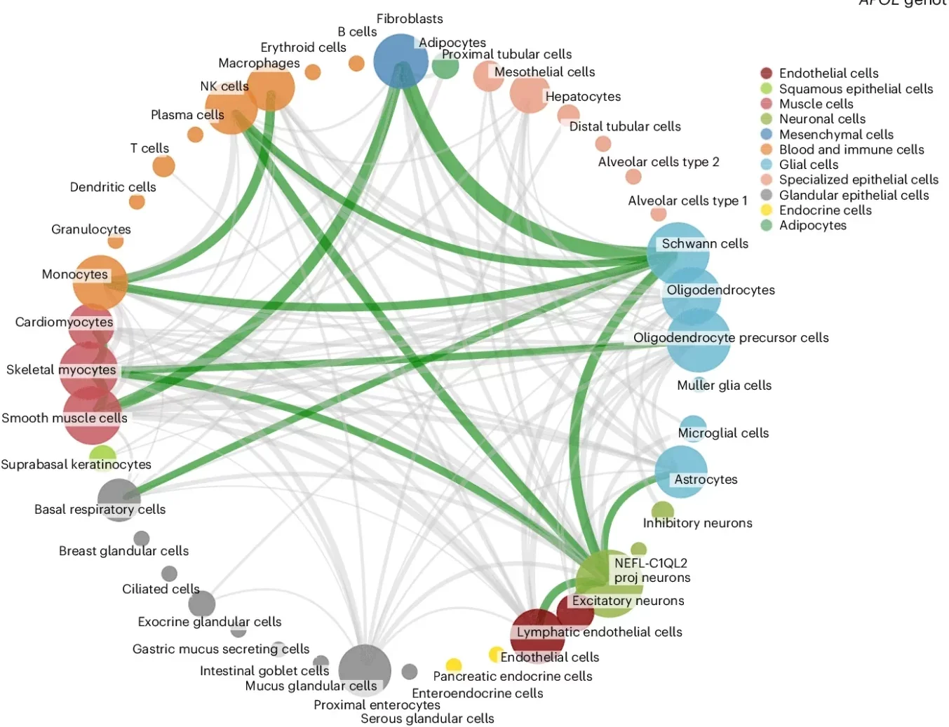 Cellular aging signatures reveal individual heterogeneity.