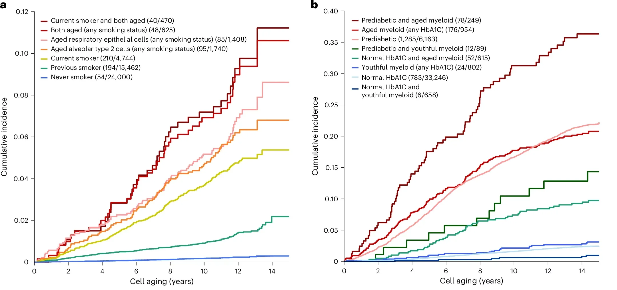 Cellular aging signatures predict cancer and chronic disease risk.