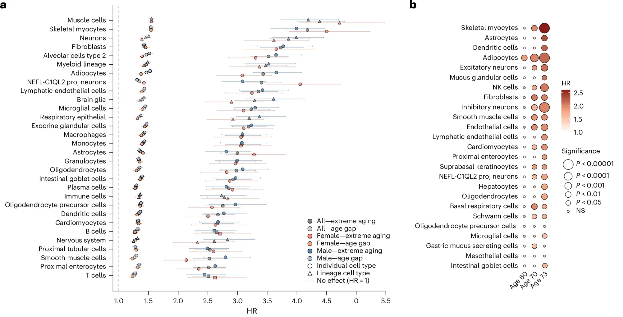 Cellular aging states inform survival and resilience.