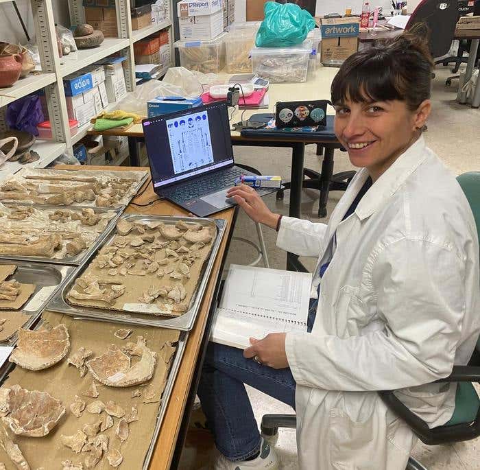 Zita Laffranchi, researcher of the Universyity of Cordoba. The Novilara necropolis isotope study reveals gendered diets, limited seafood consumption, mobility, and complex burial status.