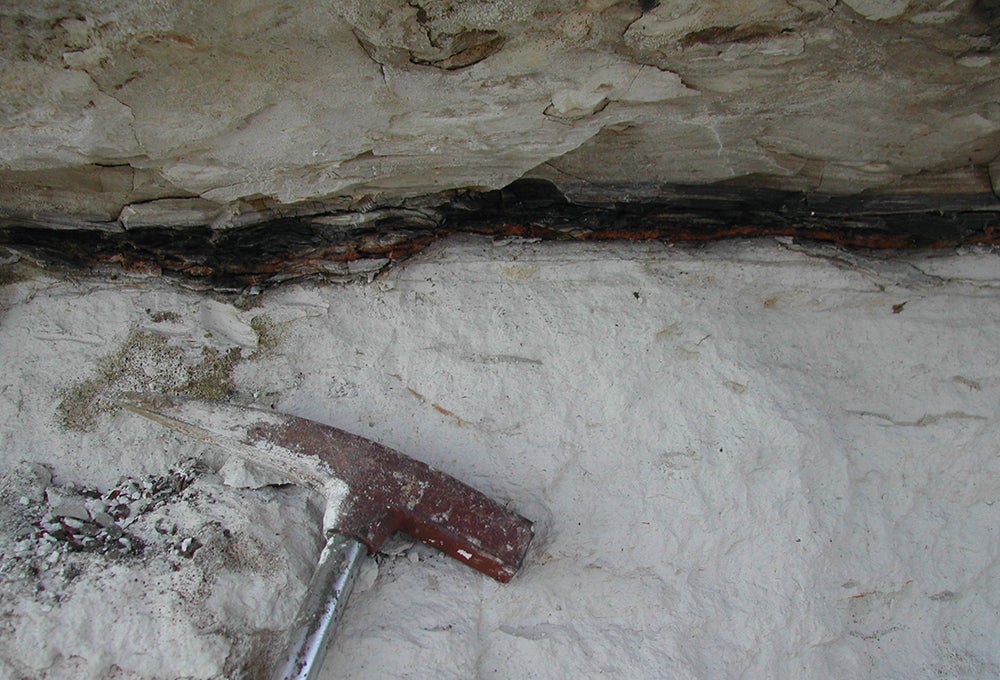 Residue of the Cretaceous-Paleogene impact. Dark clay-rich KT boundary layer in Stevn’s Klint, Denmark used in the study.