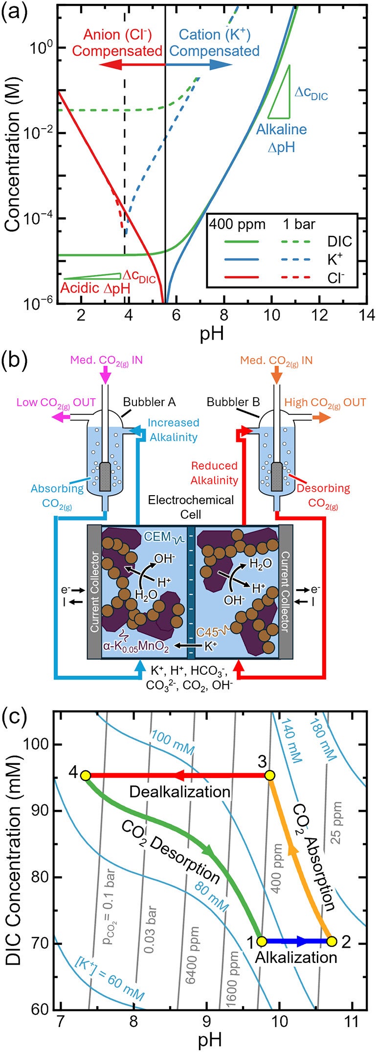 Equilibrium concentration of dissolved inorganic carbon