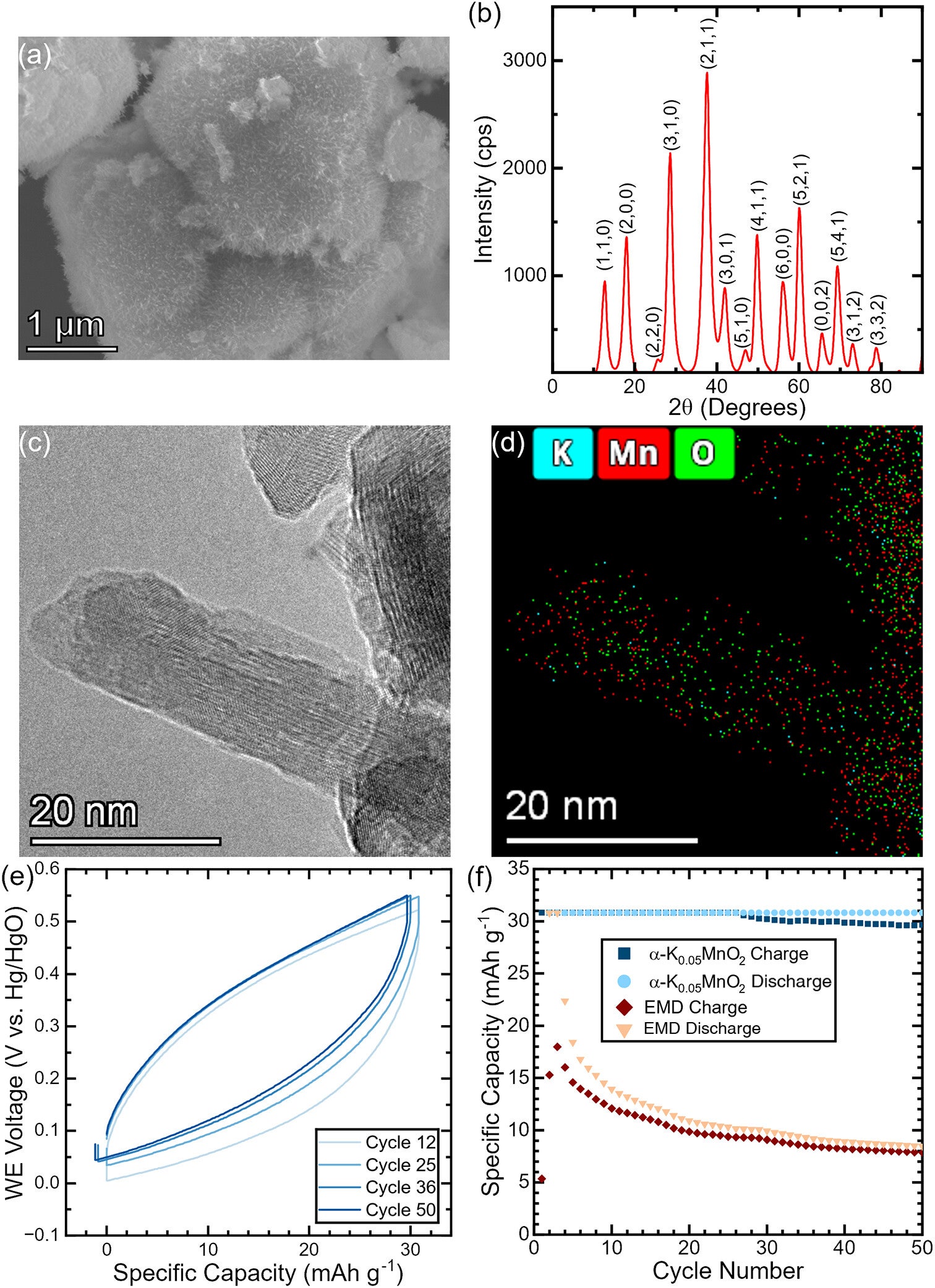 Scanning-electron microscopy