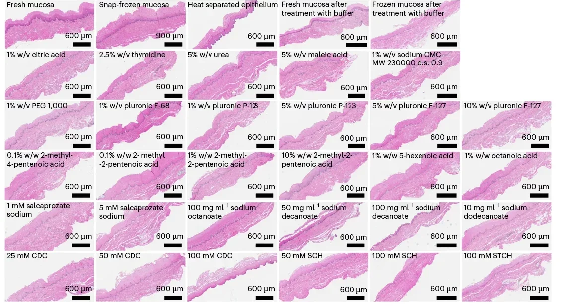 Assessment of the safety and efficacy of oesophageal PEs.