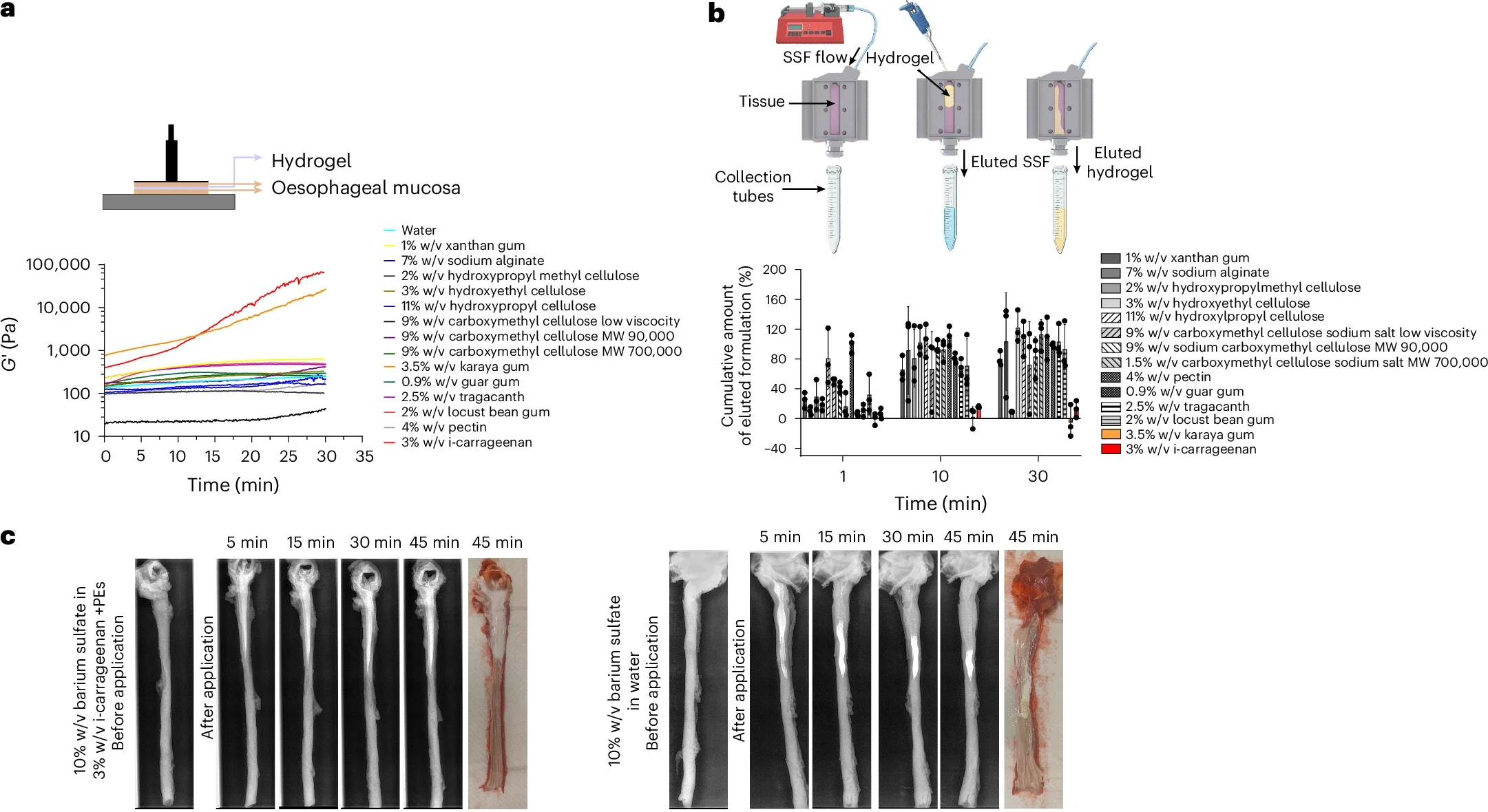 Ex vivo assessment of the bioadhesive properties of the hydrogels.