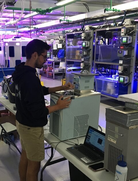 Study lead author J. Andres “Andy” Marquez performing experiments at the Hakai Institute, part of the Tula Foundation, based in British Columbia, Canada.