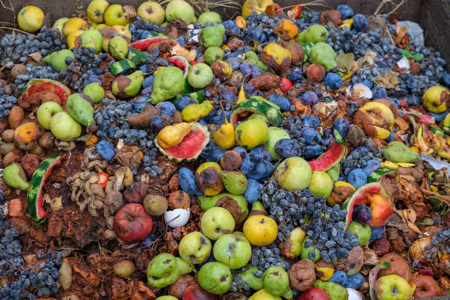 Researchers show that treated clay can absorb ethylene gas, slowing fruit ripening and offering a simple way to reduce food waste.