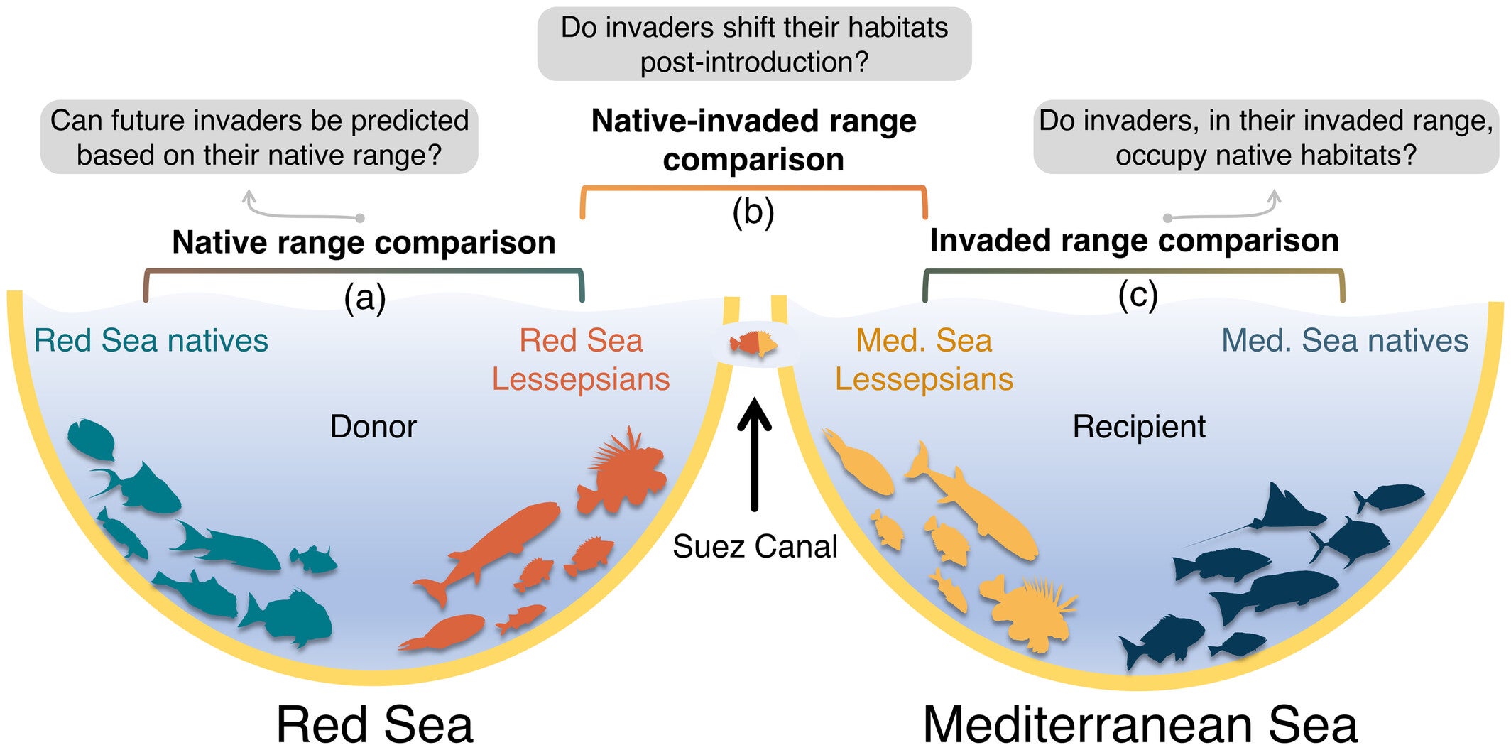 Conceptual framework of the multi-comparison approach used to characterize Lessepsian invasion.