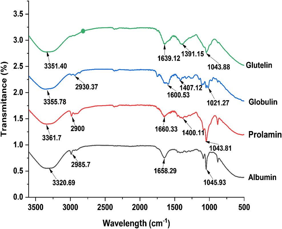 Fourier Transform Infrared (FTIR) spectroscopy of marigold flower protein fractions.