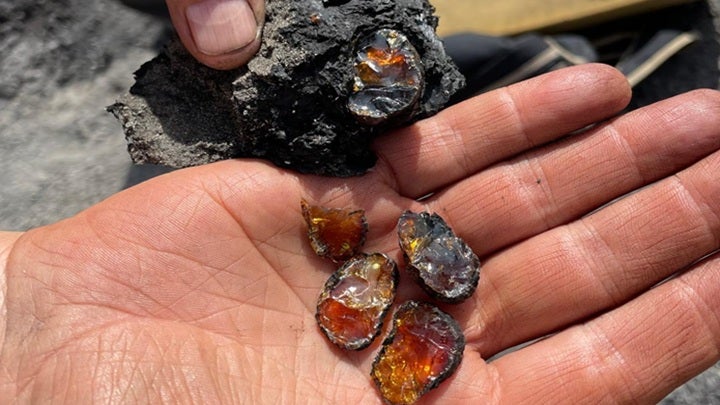 The PACA interface was designed as part of the research project “Cretaceous Resin Interval. Abiotic and biotic causes and their palaeoecological implications (CREI)”.