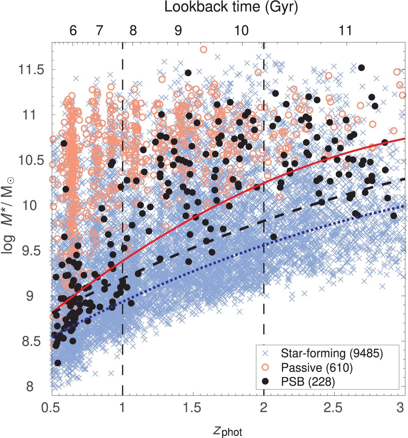 The stellar mass M* distribution as a function of photometric redshift for star-forming (blue crosses), passive (red circles), and PSB galaxies (black points), within the PRIMER-UDS field.