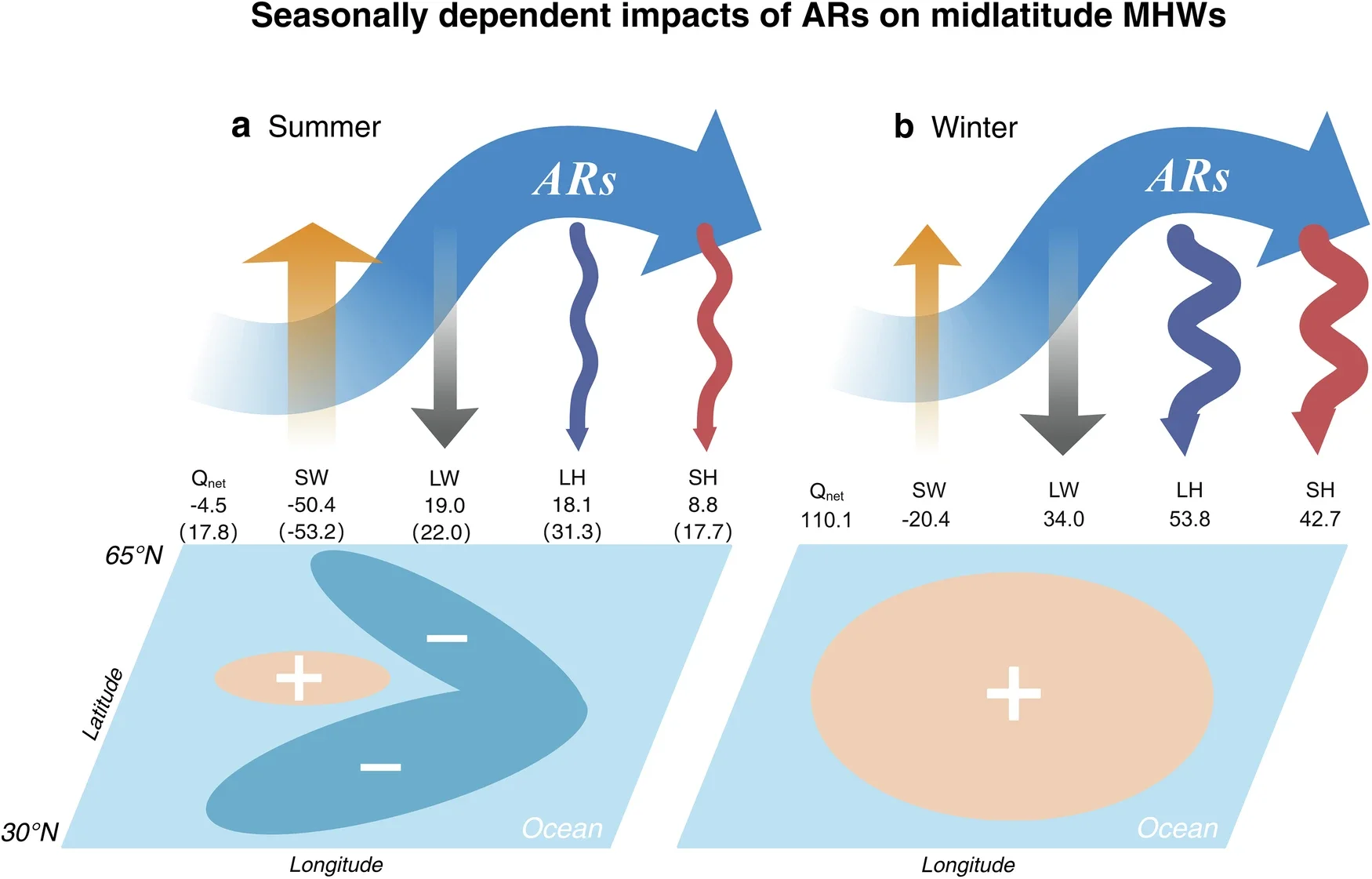 Mechanistic schematic for the fingerprints of atmospheric rivers (ARs) on marine heatwaves (MHWs).