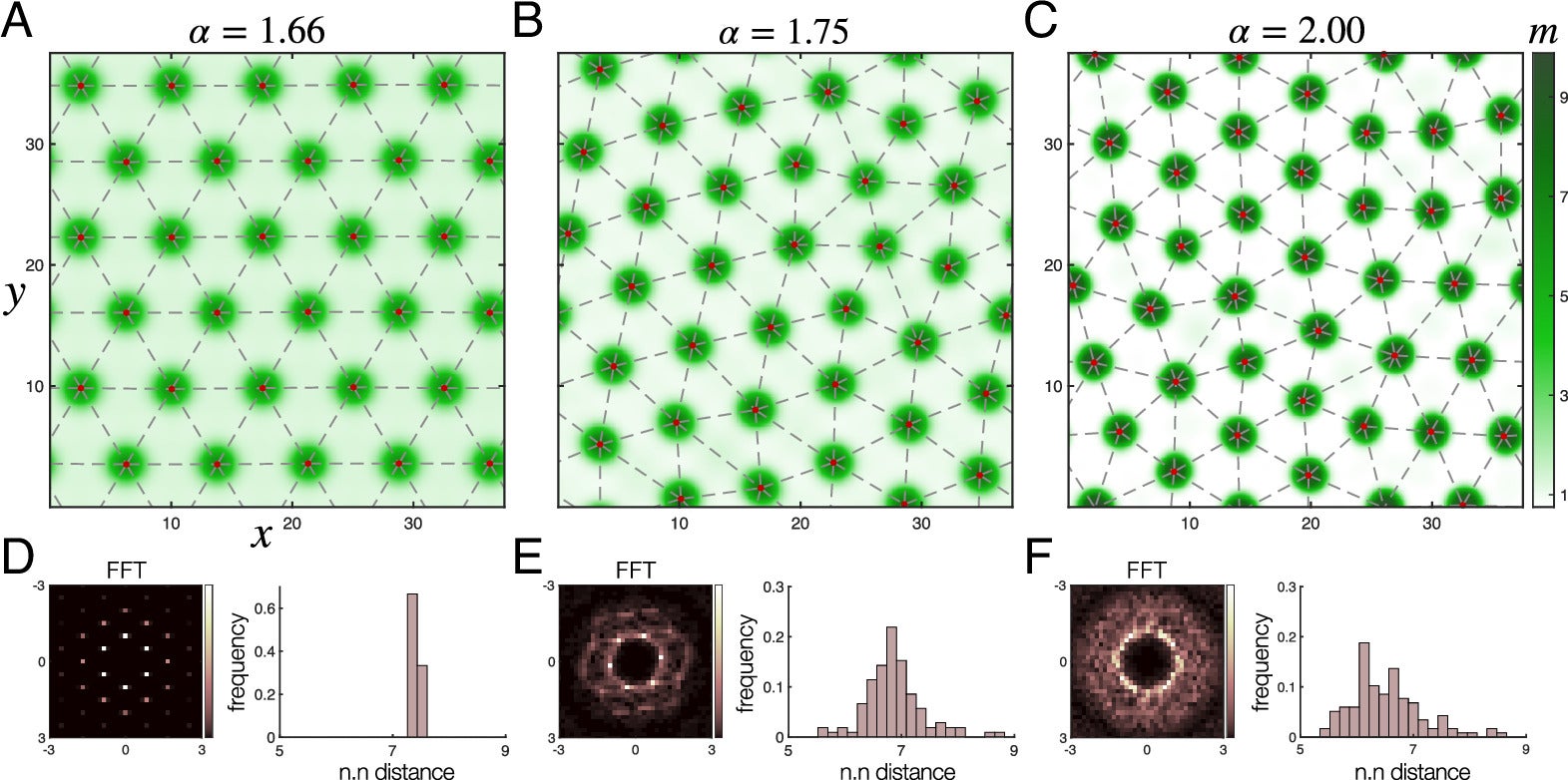 Characterization of the asymptotic spot states in the chemotaxis model.