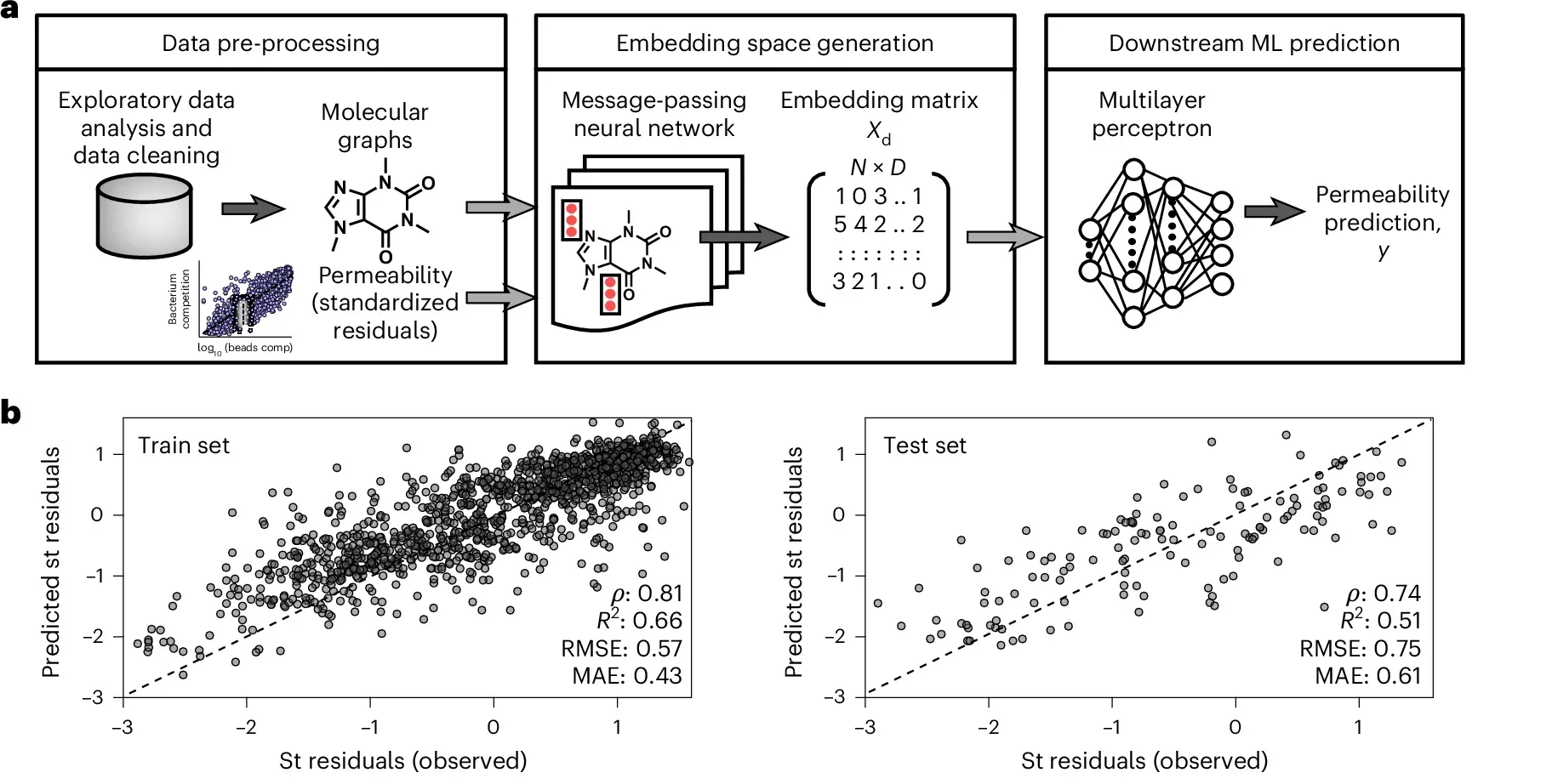 Machine learning model development and interpretation.