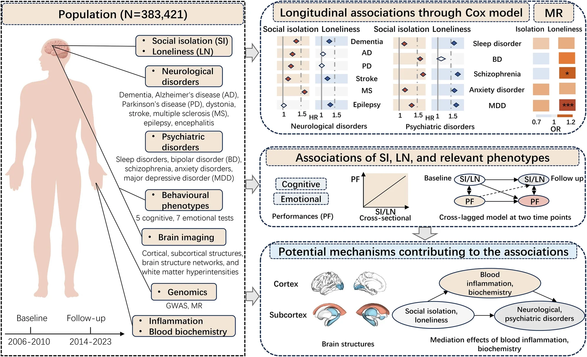 Associations of social isolation and loneliness with neurological disorders, psychiatric disorders, brain structures and behavioural phenotypes among UK Biobank participants.