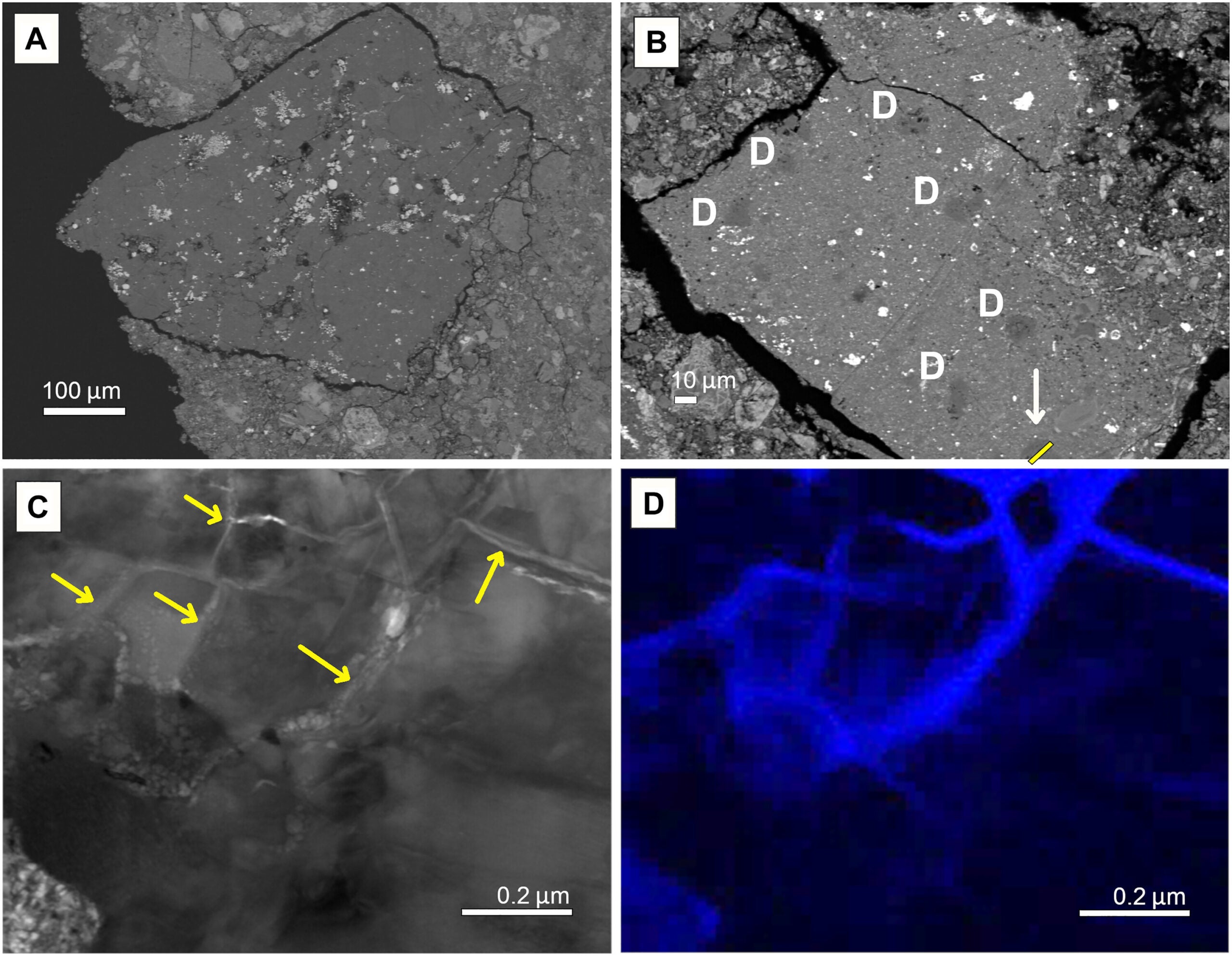 Na enriched veins in C1 clasts 
