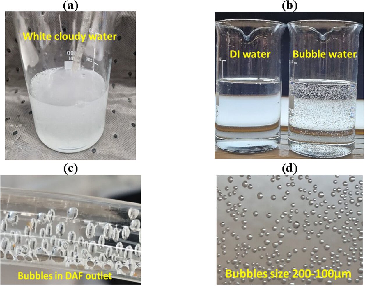 Bubbles generation and visualization at 5 bar air pressure, 3 min of saturation time, and solution pH 7.