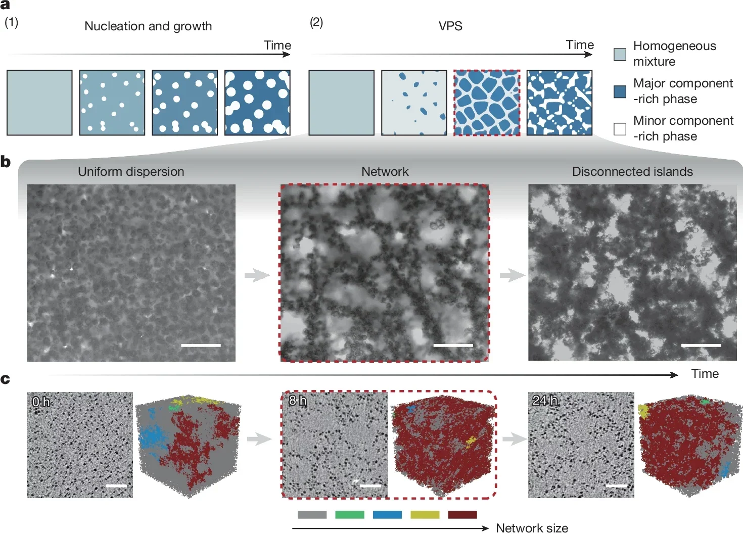 Preparation and characteristics of VPS aerogel networks.