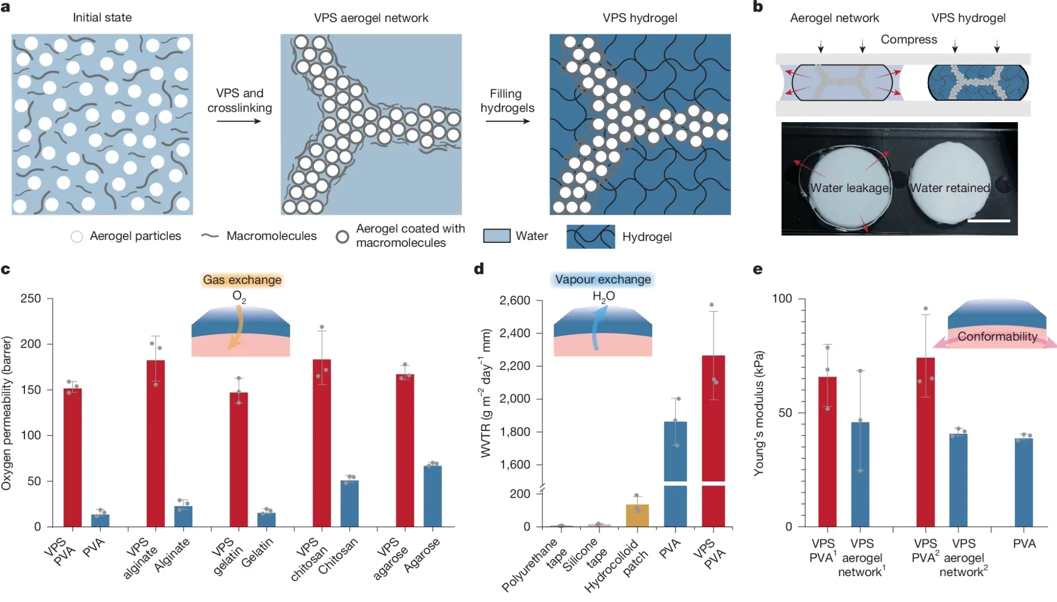 Preparation and properties of VPS hydrogels.