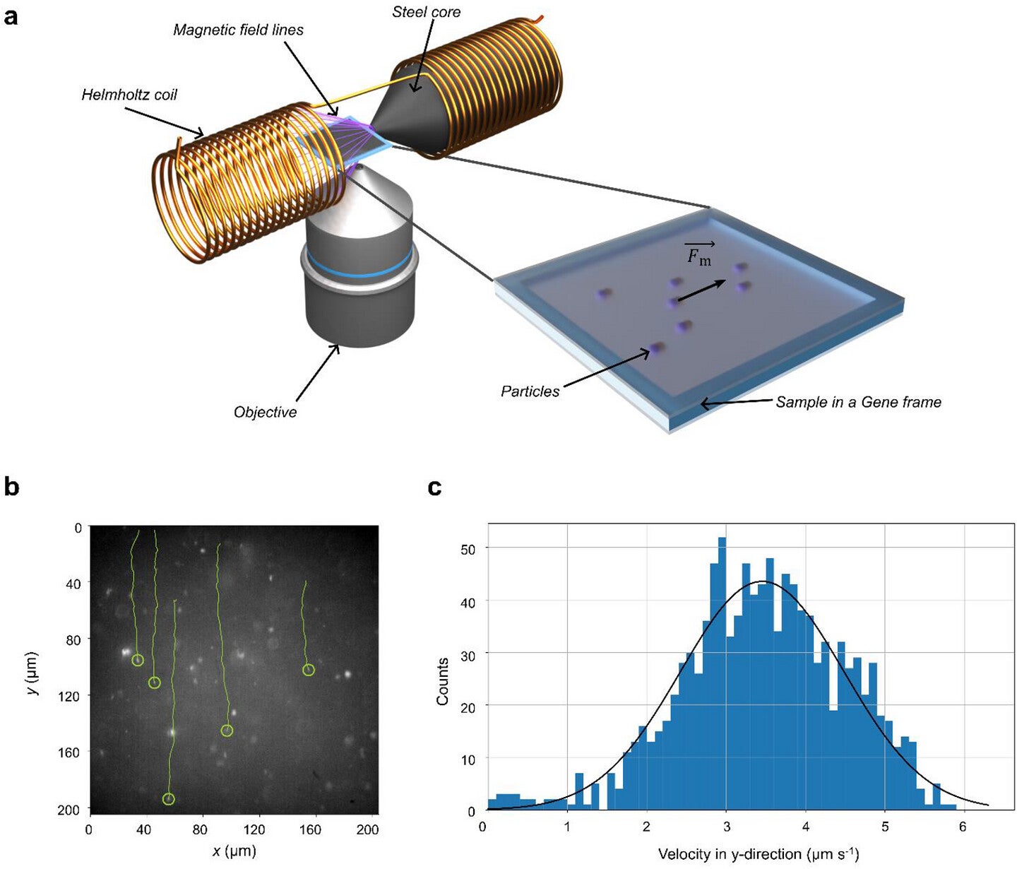 Magnetic field-induced movement of basic nanorobots.