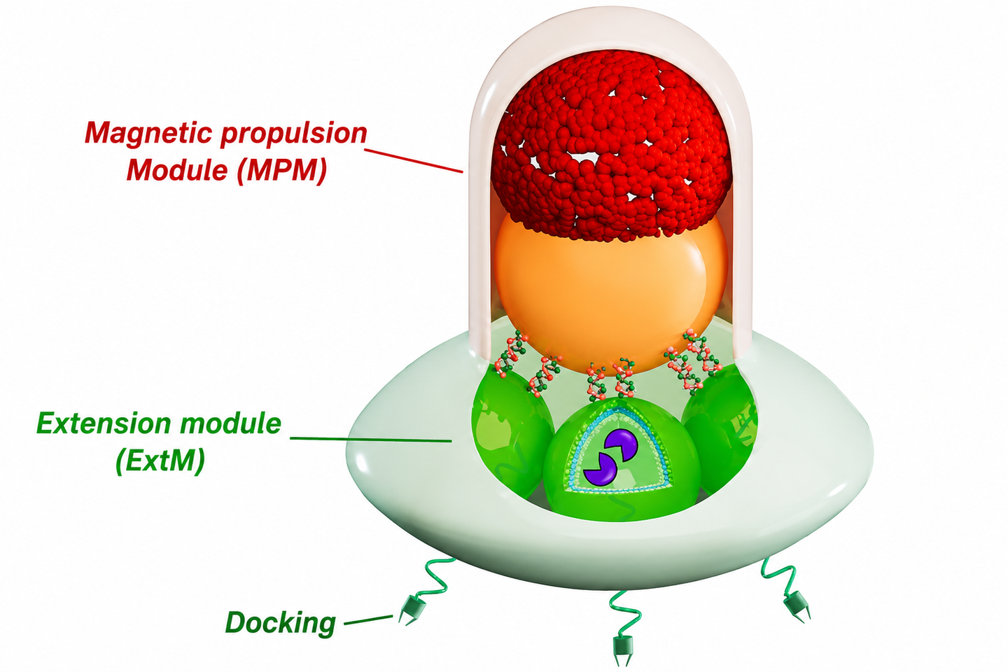 New modular nanorobots can move, target cells, and deliver drugs, offering a new path for precision medicine and industry.