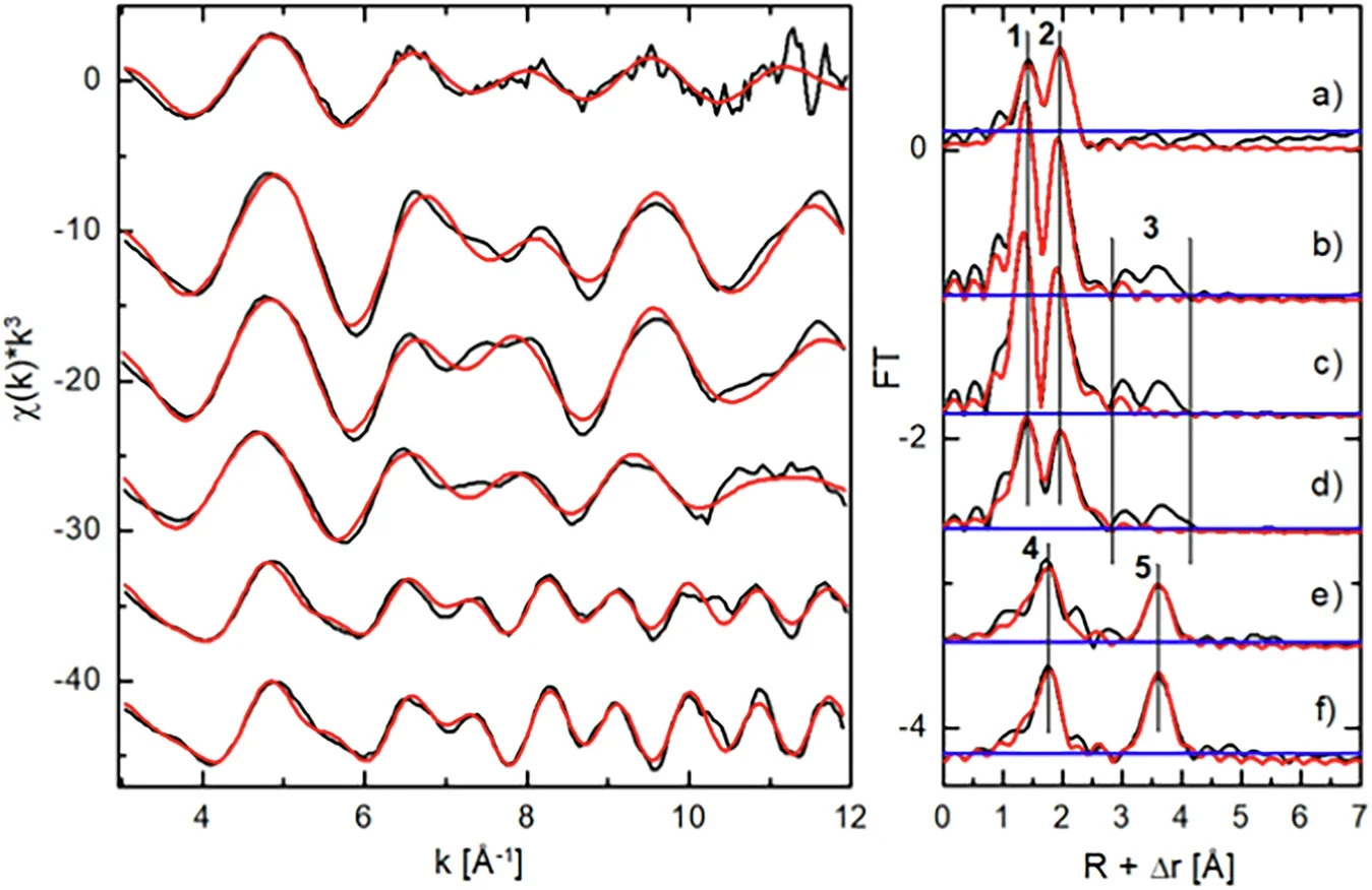 U L₃-edge EXAFS spectra and Fourier transforms of isolated uranium species.