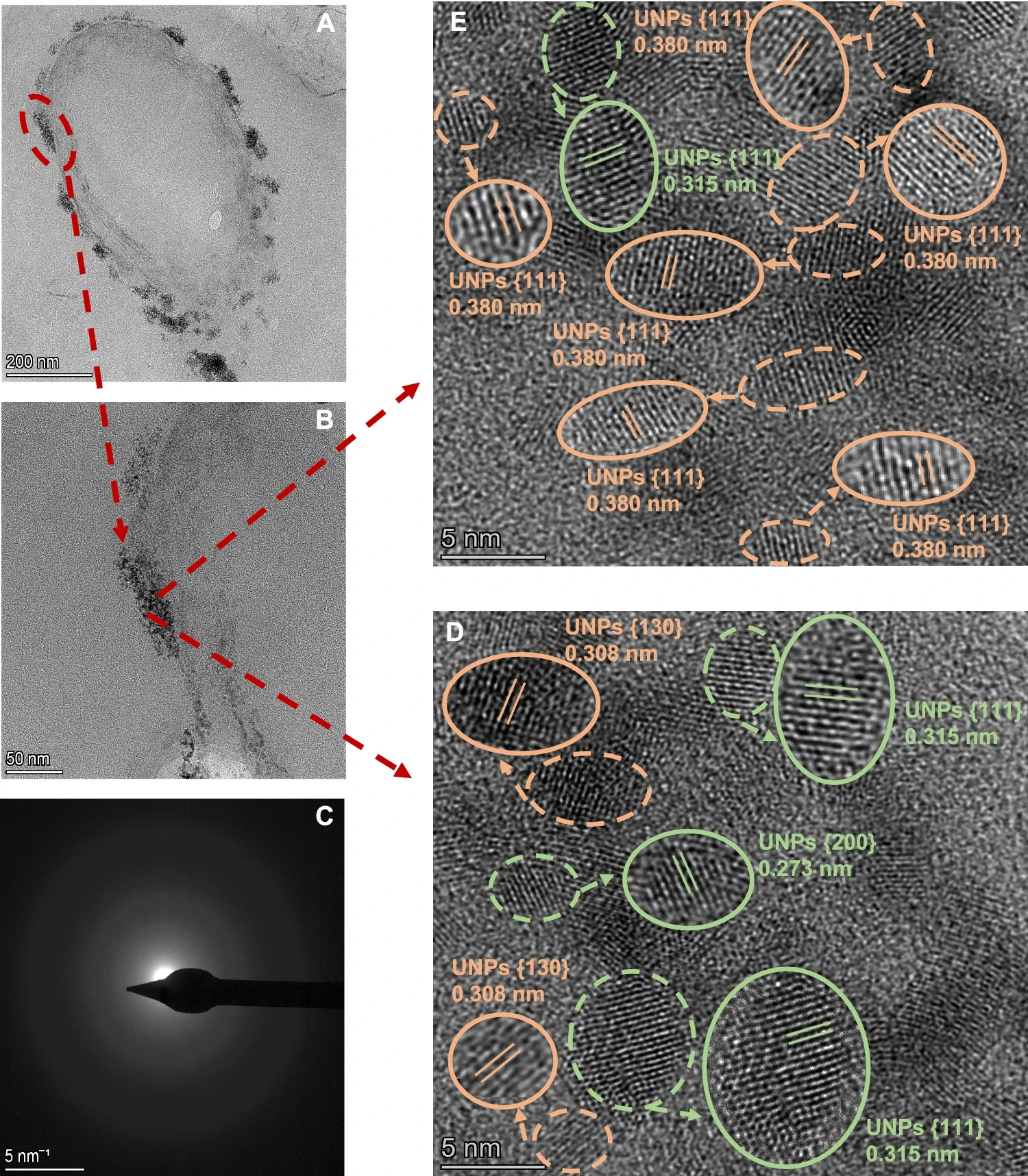 HAADF-STEM and HRTEM imaging of U nanoparticles.