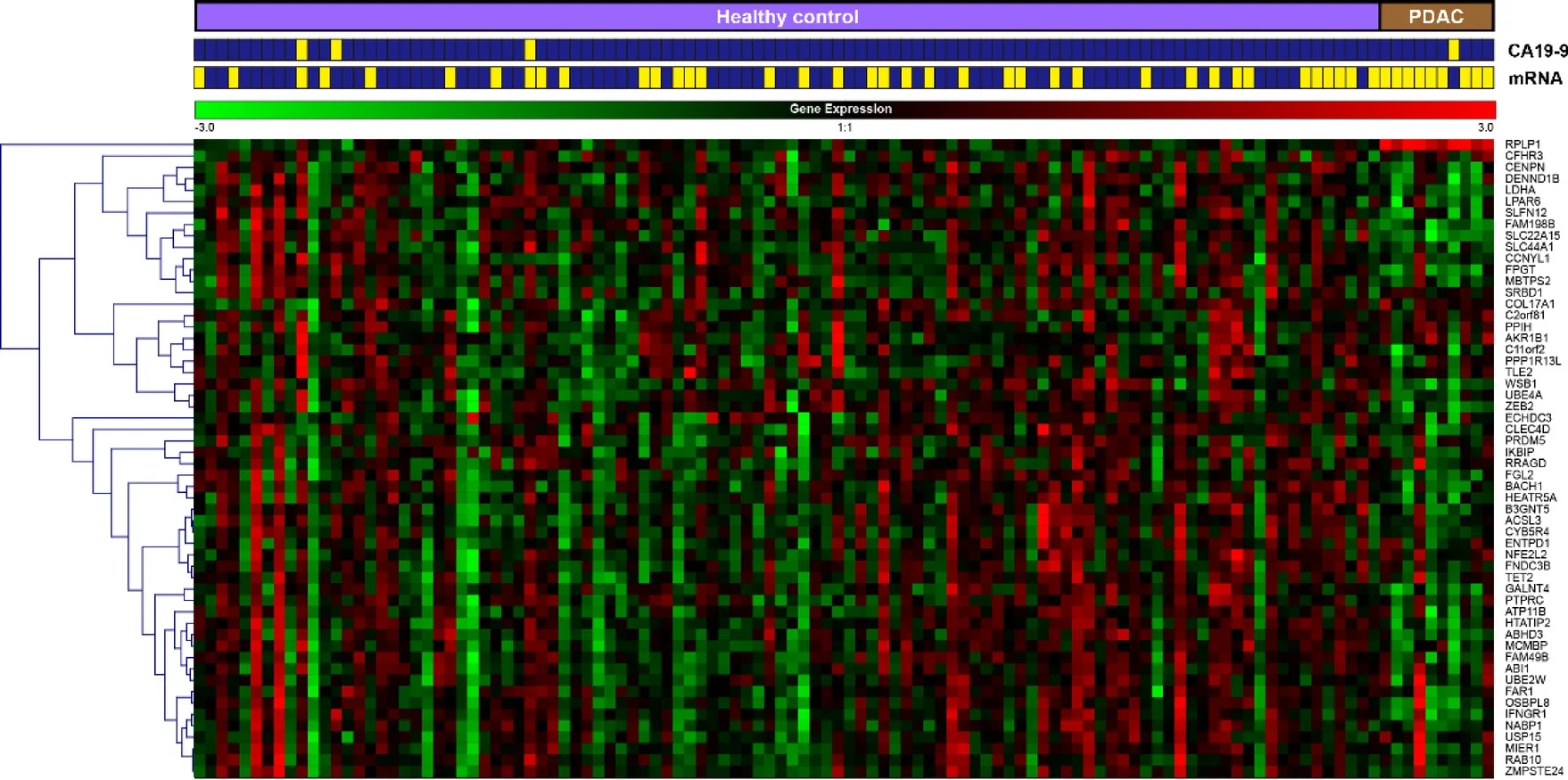 Heatmap of whole-blood expression profiles of the 56-gene panel in 10 patients with pancreatic ductal adenocarcinoma (PDAC) and 104 healthy controls (HCs).