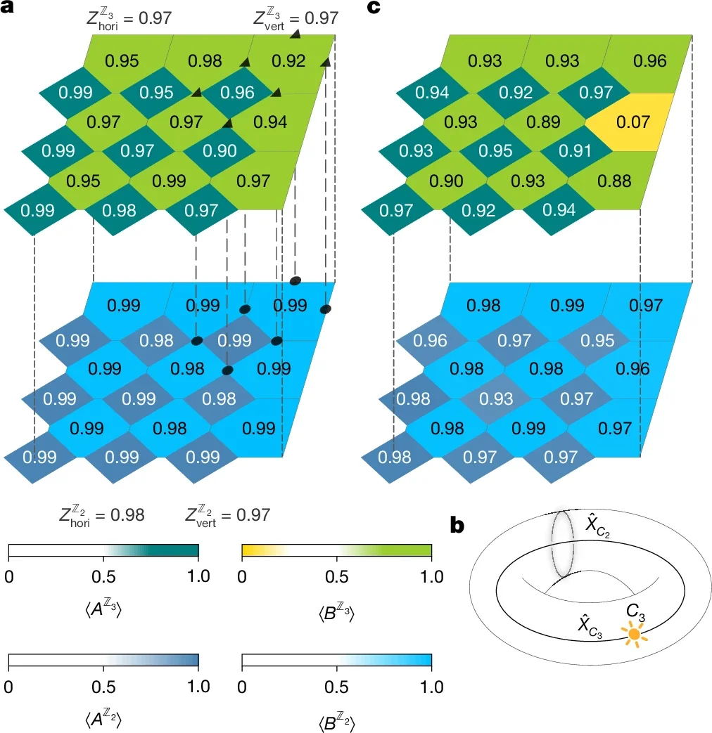 Ground and single-anyon states on 54 qubits.