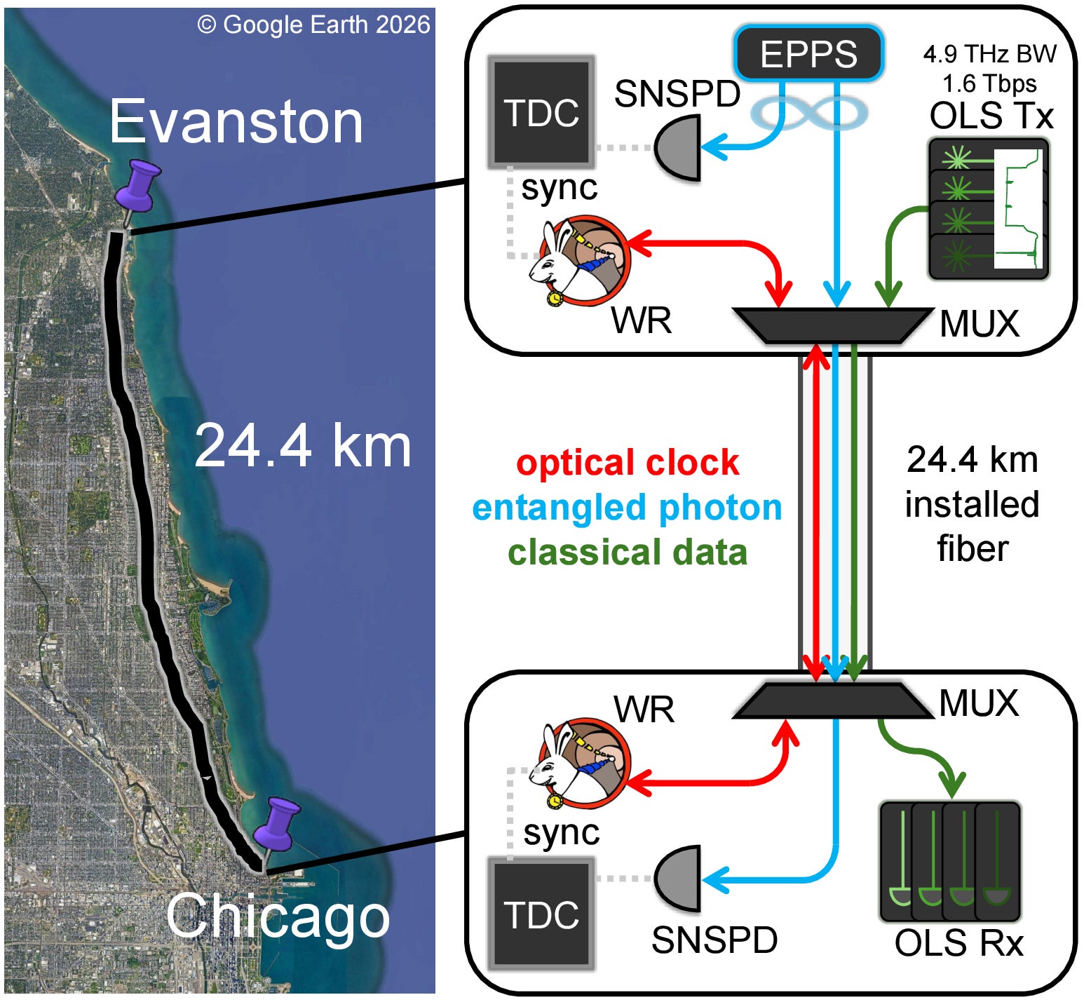 Entangled photons are distributed over 24.4 km of deployed fiber from Evanston to Chicago. One of the photons is wavelength division multiplexed to propagate with a state-of-the-art classical communications system and optical synchronization clock.