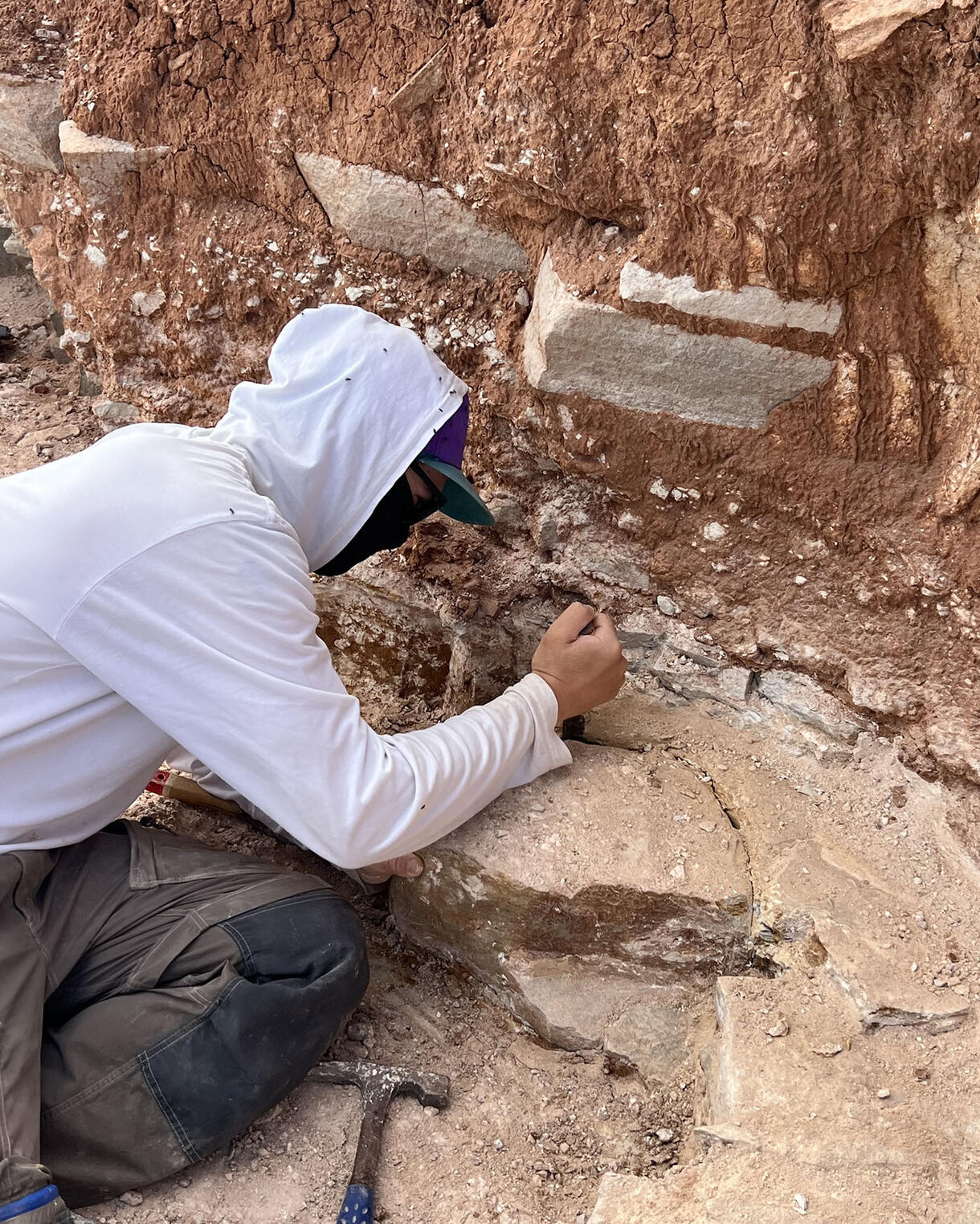 The research team worked in the Flinders Ranges and surrounding region of South Australia. Excavation of individual beds at Nilpena Ediacara National Park reveals communities of the Ediacara Biota buried during storm events, capturing snapshots of the seafloor 550 million years ago. 