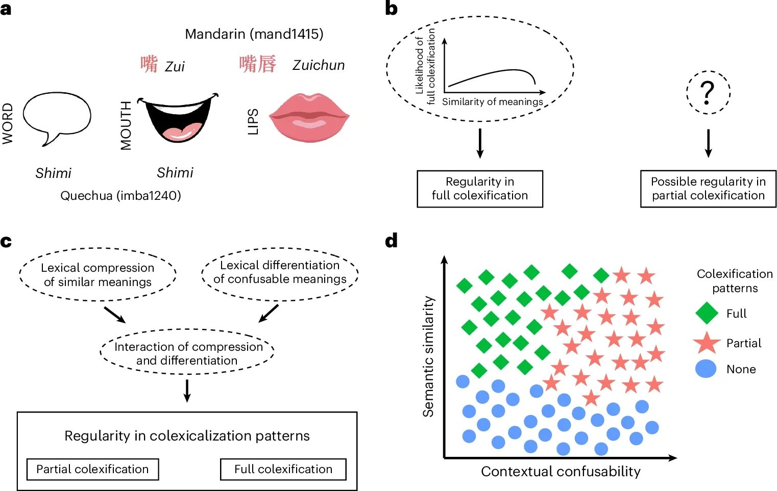 Colexification patterns.