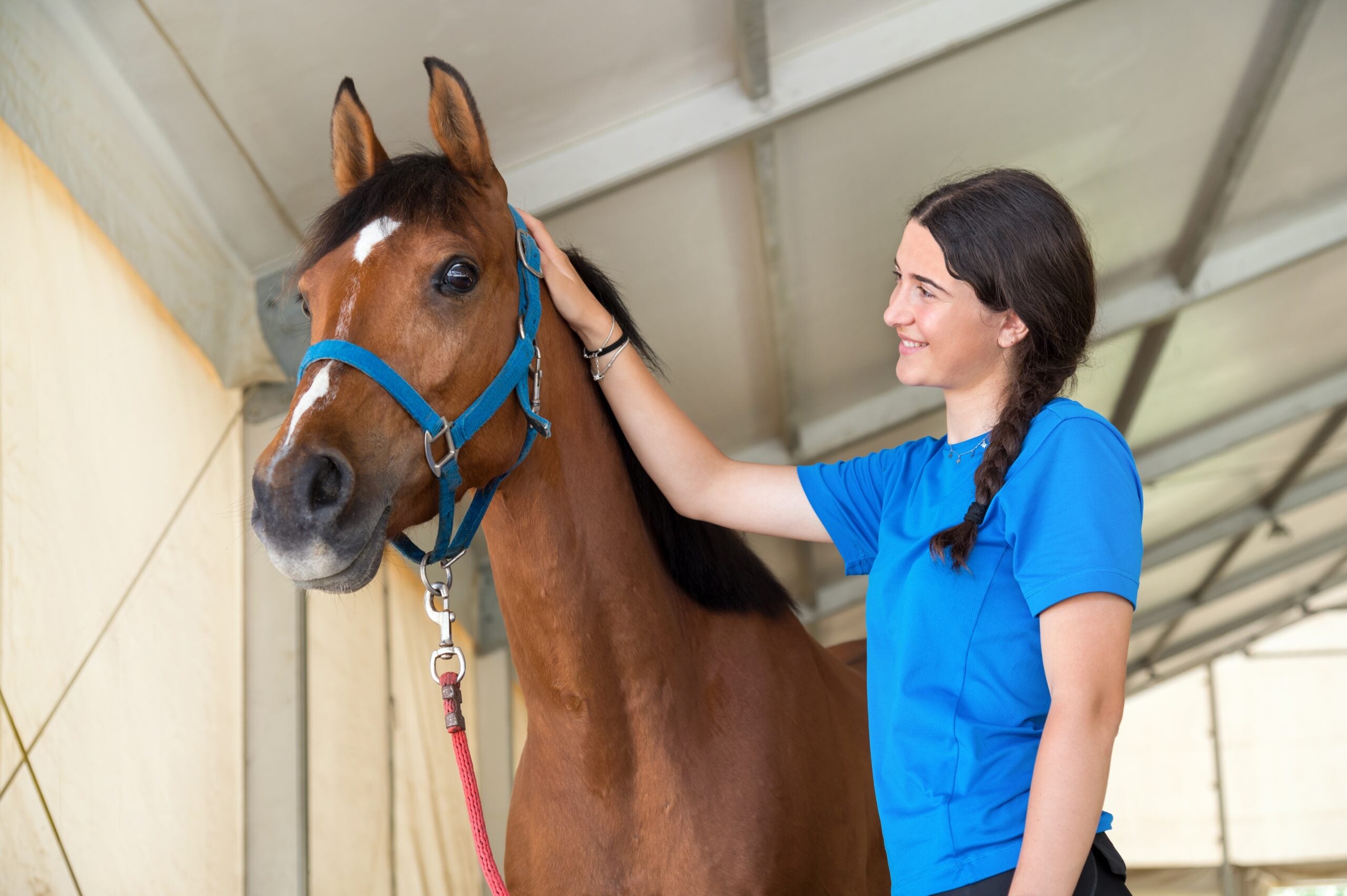 The survey included dogs, cats, birds, fish, reptiles, insects, horses, farm animals, and other species.