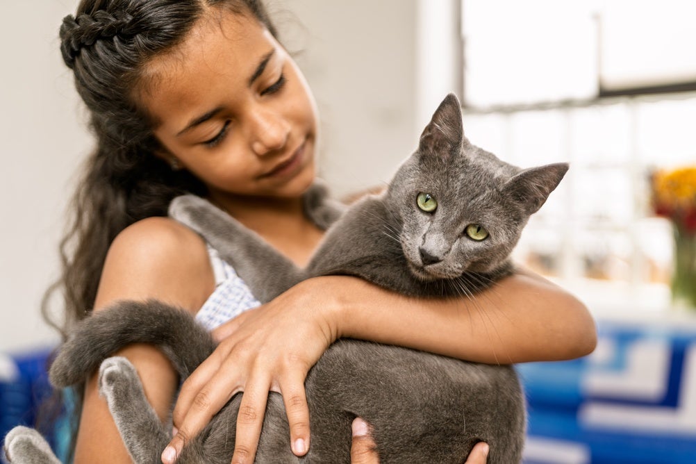 A pet may offer comfort during a difficult day. But that bond does not automatically translate into better health