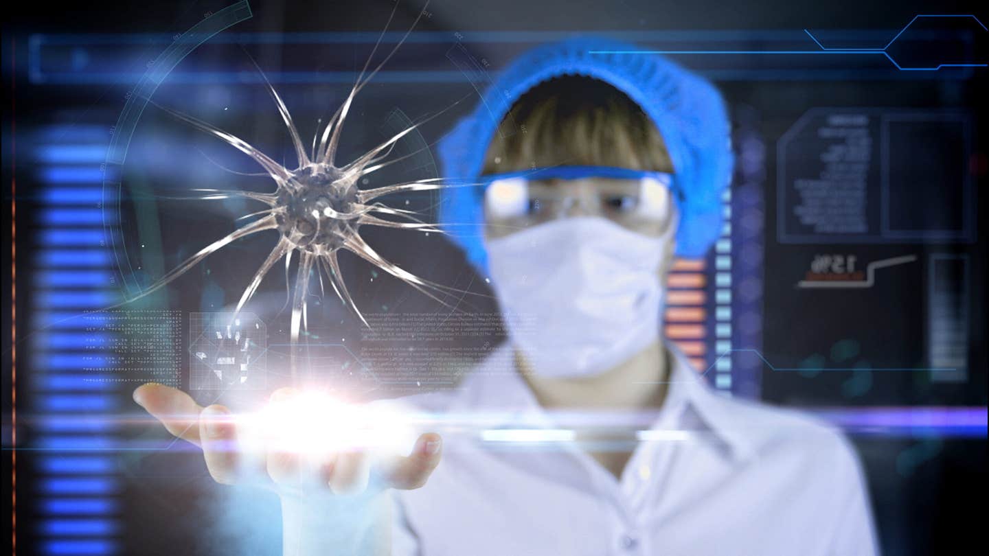 Scientists at the University of Cambridge created connected brain and spinal cord organoids and discovered that the genetic program limiting nerve repair can be reversed, restoring axon regrowth in human neurons.