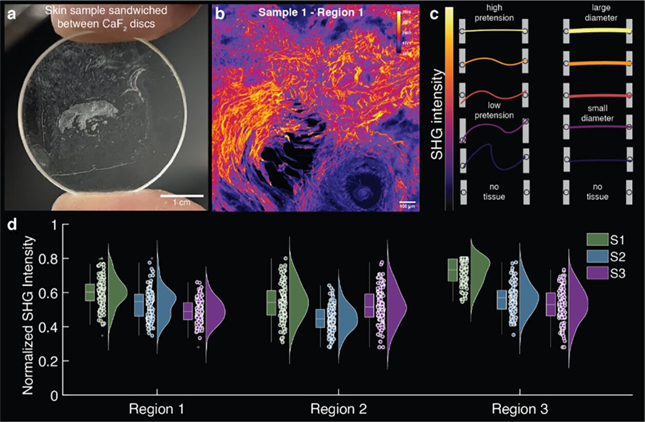 Quantification of second harmonic generation intensity across samples.