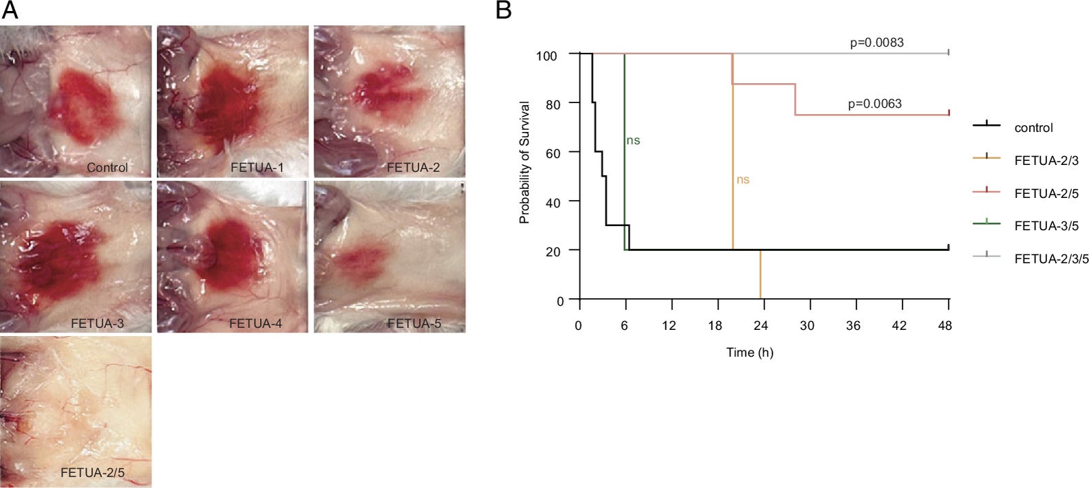 Inhibition of C. adamanteus venom hemorrhagic and lethal activities by FETUA proteins. 